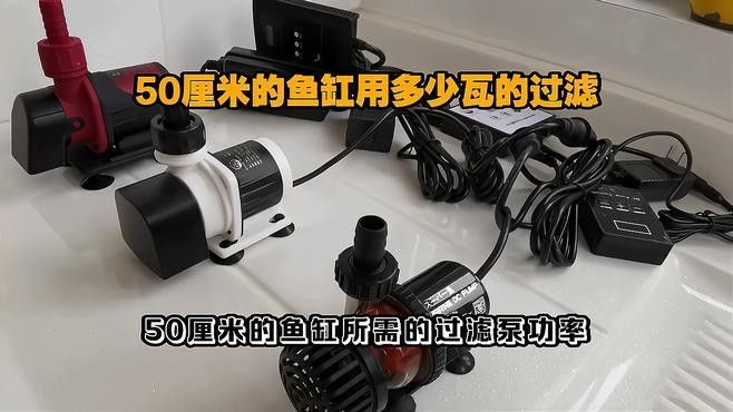 龍魚50公分時需要多大的過濾系統(tǒng)？