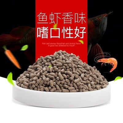 龍魚幼苗吃什么長得快些：龍魚幼苗吃什么長得快