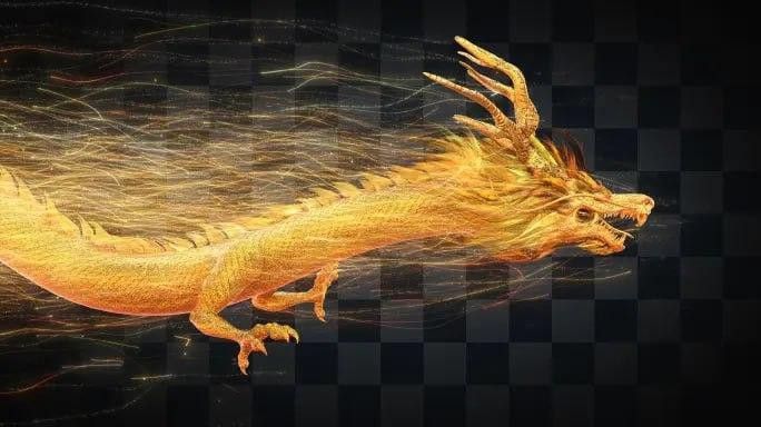 金龍魚動態壁紙有哪些高清資源？