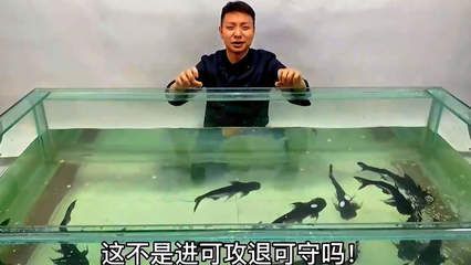 西龍魚缸怎么安裝視頻：西龍魚缸安裝視頻，詳細步驟與注意事項