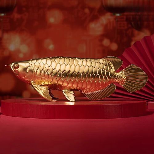 如何保養和清潔金龍魚擺件？