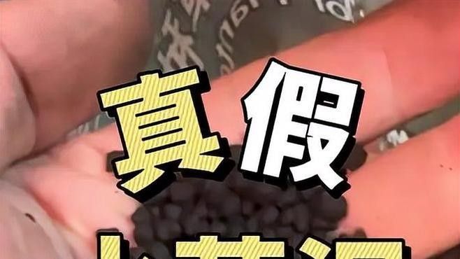 龍魚缸造景需要造景嗎圖片欣賞 龍魚缸造景需要造景嗎圖片欣賞 龍魚百科 第24張