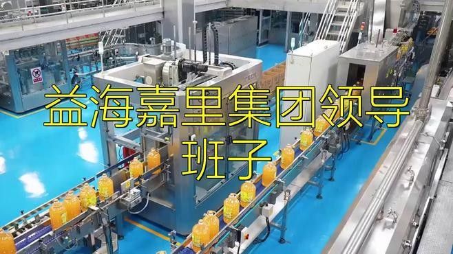金龍魚高管團隊中哪位背景最突出？