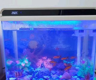 森森魚缸燈光使用說明,森森魚缸燈光使用說明摘要:森森魚缸燈光節能技巧 龍魚百科 第1張 森森魚缸燈光使用說明,森森魚缸燈光使用說明摘要:森森魚缸燈光節能技巧 森森魚缸燈光使用說明,森森魚缸燈光使用說明摘要:森森魚缸燈光節能技巧 龍魚百科 第1張
