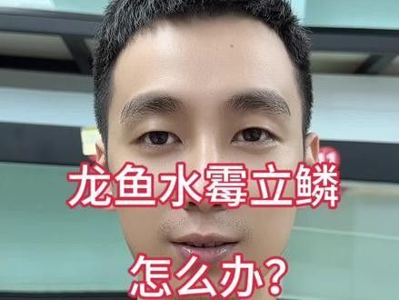 龍魚水霉病最好的治療方法圖片