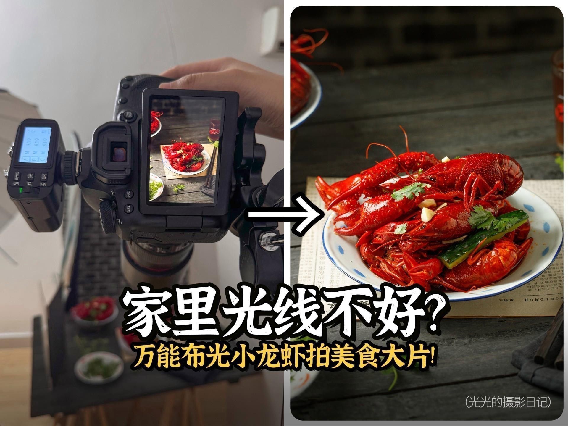 如何選擇合適的背景拍攝小龍魚？