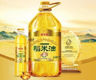 金龍魚最貴的多少錢（金龍魚價格波動原因分析金龍魚價格波動原因） 金龍魚最貴的多少錢（金龍魚價格波動原因分析金龍魚價格波動原因） 龍魚百科 第3張