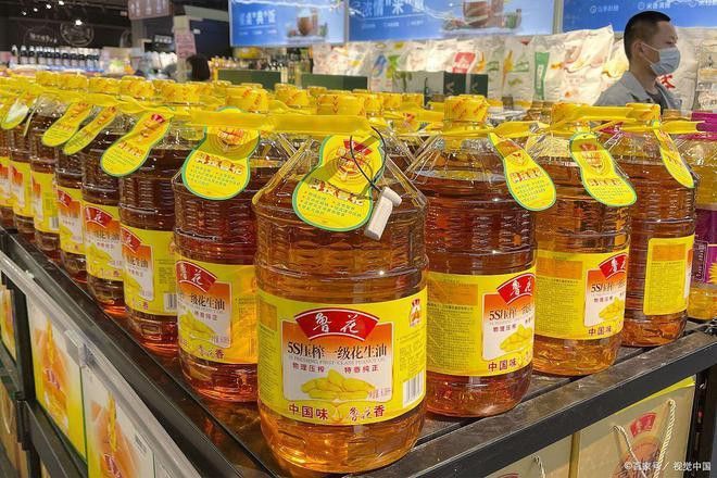 金龍魚哪個國家品牌好 金龍魚哪個國家品牌好 龍魚百科 第5張
