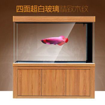 龍魚缸什么牌子的好用又便宜：龍魚缸品牌龍魚缸品牌排行榜龍魚缸品牌排行榜 龍魚缸什么牌子的好用又便宜：龍魚缸品牌龍魚缸品牌排行榜龍魚缸品牌排行榜 龍魚百科 第3張