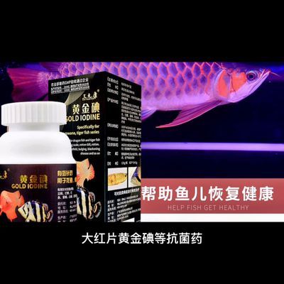 龍魚抗菌藥有哪些（如何判斷龍魚是否感染，龍魚抗菌藥使用指南） 龍魚抗菌藥有哪些（如何判斷龍魚是否感染，龍魚抗菌藥使用指南） 龍魚百科 第2張