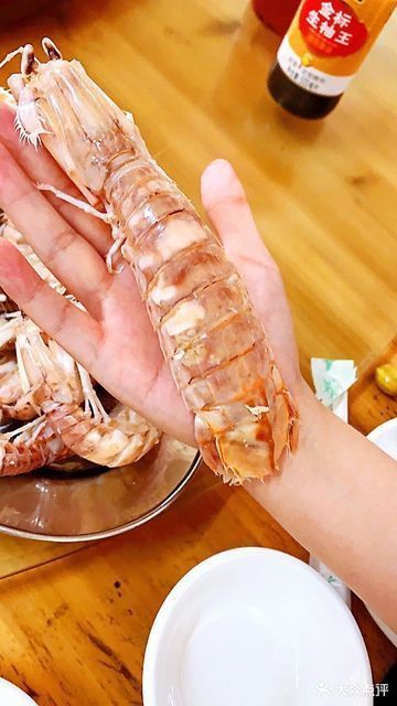 湛江龍魚批發市場在哪里啊最近