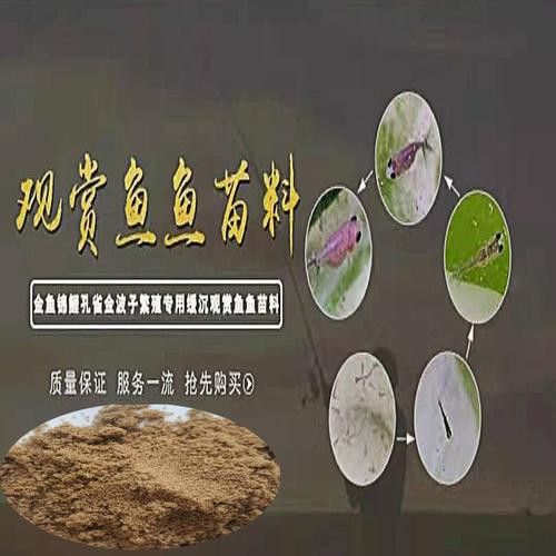 有哪些適合幼魚的龍魚飼料? 龍魚百科 第11張 有哪些適合幼魚的龍魚飼料? 有哪些適合幼魚的龍魚飼料? 龍魚百科 第11張