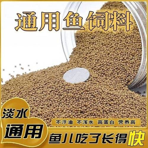 有哪些適合幼魚的龍魚飼料? 龍魚百科 第14張 有哪些適合幼魚的龍魚飼料? 有哪些適合幼魚的龍魚飼料? 龍魚百科 第14張