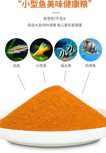 有哪些適合幼魚的龍魚飼料? 龍魚百科 第15張 有哪些適合幼魚的龍魚飼料? 有哪些適合幼魚的龍魚飼料? 龍魚百科 第15張