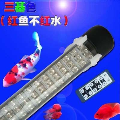 龍魚專用燈什么牌子好點兒的：馬印龍魚專用燈品牌crazyplant燈對龍魚色彩影響
