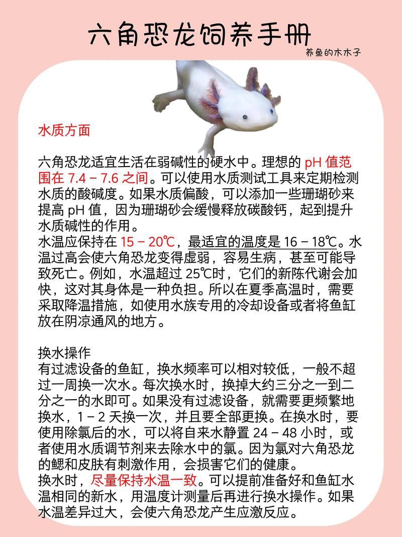 六角恐龍魚種類大全圖片