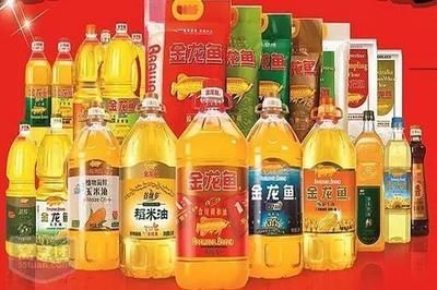 九江龍魚專賣店：九江龍魚專賣店怎么樣 九江龍魚專賣店：九江龍魚專賣店怎么樣 龍魚百科 第3張