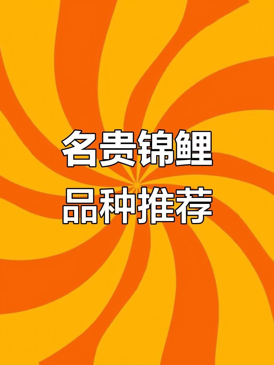 錦鯉什么品種最貴最好看