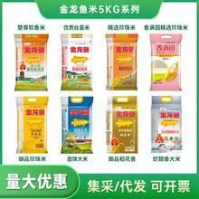 金龍魚4kg的米多錢