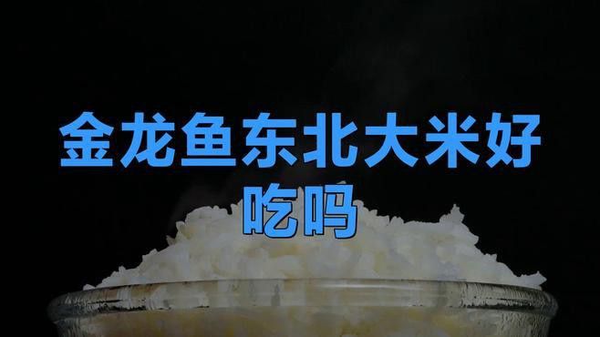金龍魚4kg的米多錢