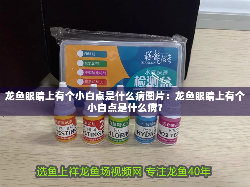 龍魚眼睛上有個小白點是什么病圖片：龍魚眼睛上有個小白點是什么病？