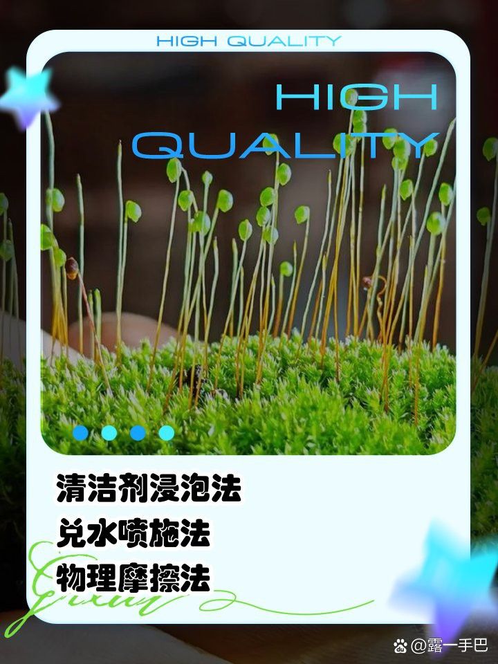 石雕擺件如何去除青苔？