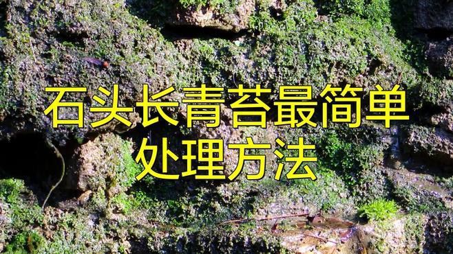 石雕擺件如何去除青苔？