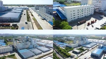 好金龍魚多少錢（金龍魚價格因品種、大小、品質(zhì)等因素而有很大差異）