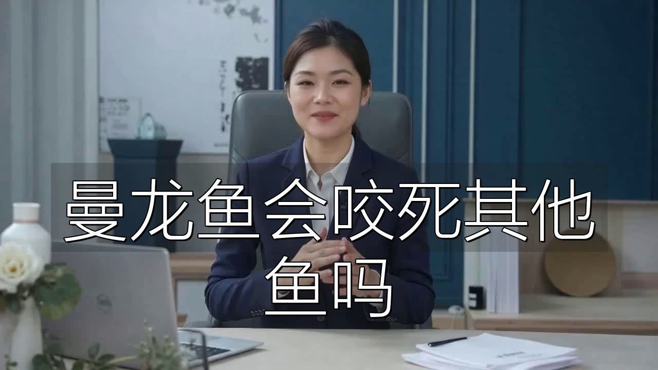 如何降低曼龍魚的攻擊性？ 如何降低曼龍魚的攻擊性？ 龍魚百科 第5張