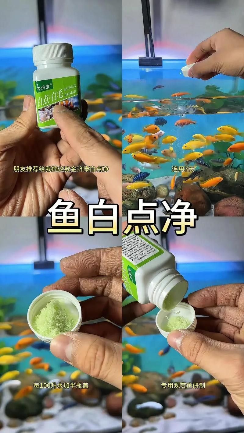 龍魚全身長白點