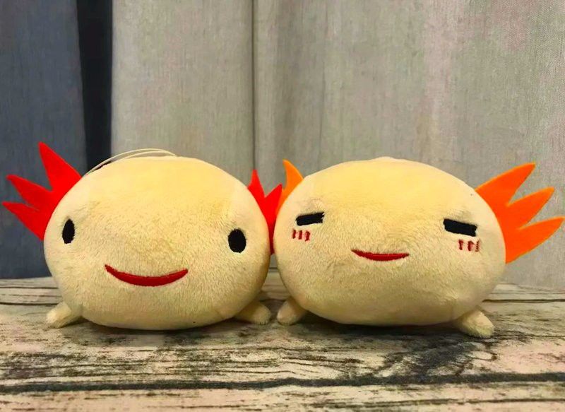 六角龍魚吃死紅蟲嗎