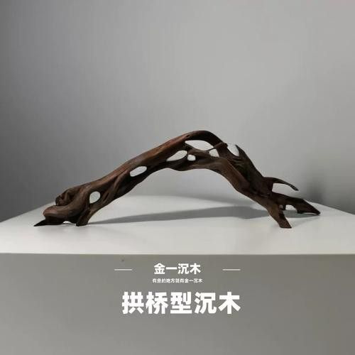 給我推薦幾款適合養(yǎng)龍魚的沉木 給我推薦幾款適合養(yǎng)龍魚的沉木 龍魚百科 第8張