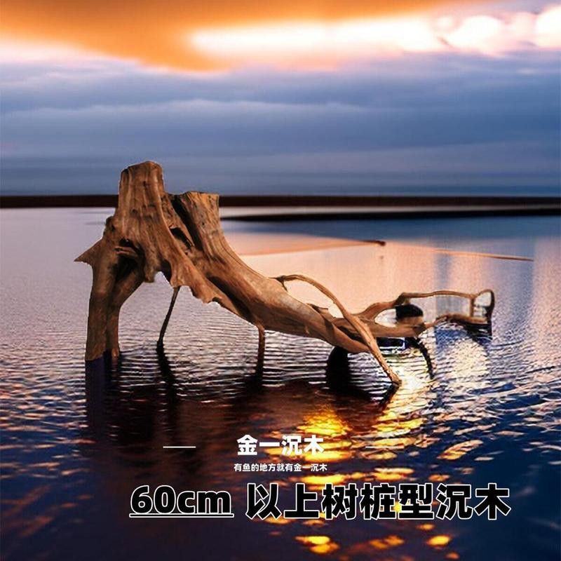 給我推薦幾款適合養(yǎng)龍魚的沉木 給我推薦幾款適合養(yǎng)龍魚的沉木 龍魚百科 第12張