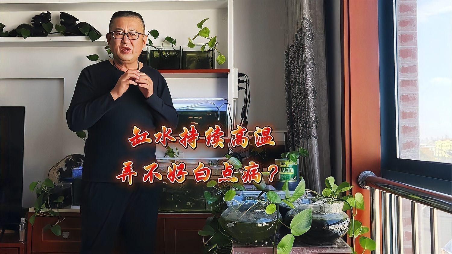 龍魚寄生蟲治療期間需要加溫嗎？