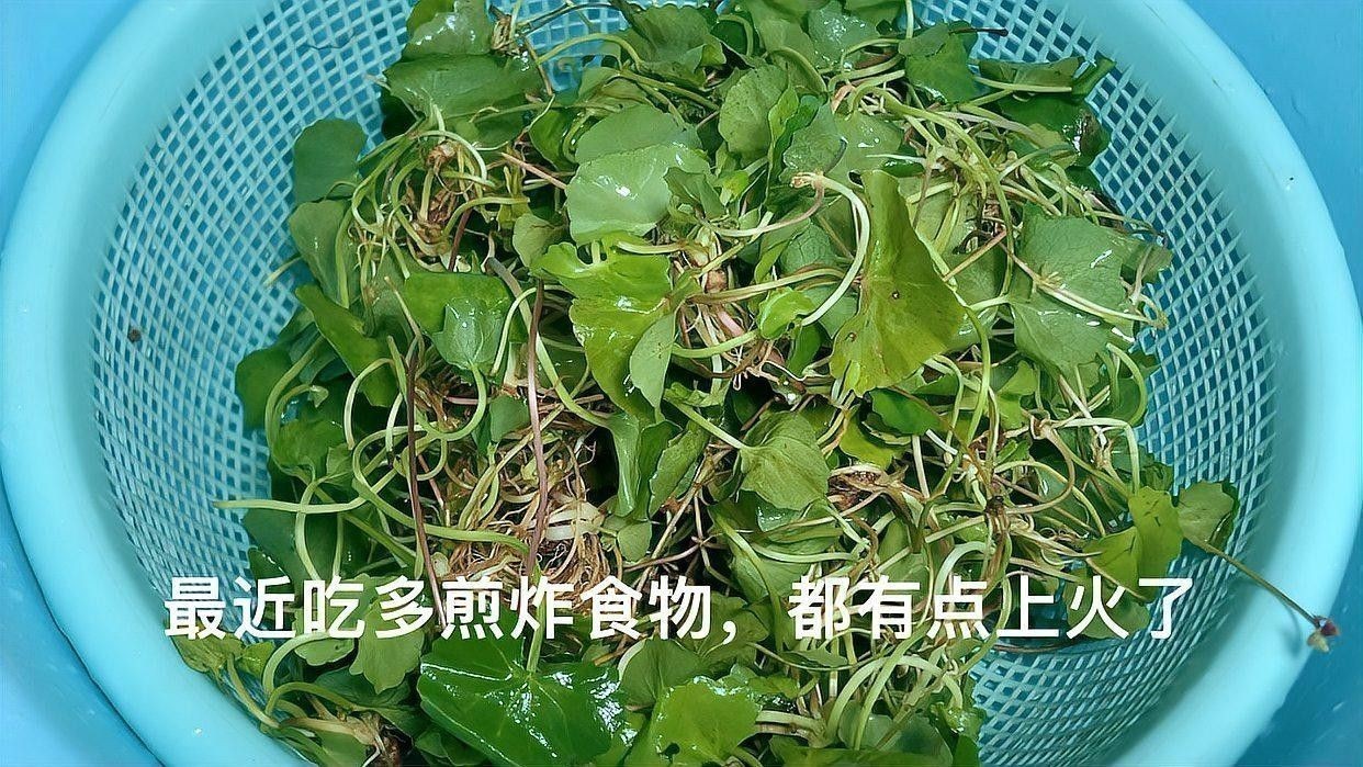 雷龍魚煲湯有哪些常見做法？