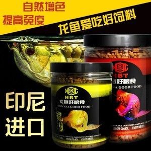 金龍魚吃什么飼料發色快：金龍魚吃什么發色好金龍魚吃什么發色最好