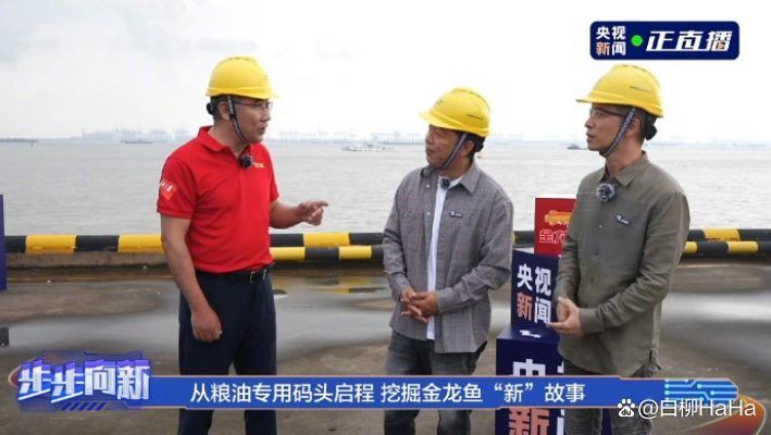 金龍魚1：11