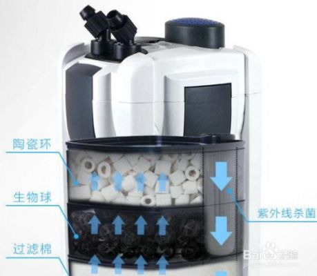 魚缸過濾器怎么上水，如何維護魚缸過濾器