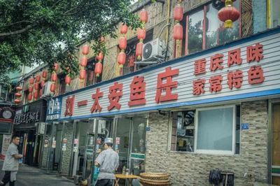 成都市金龍魚港（成都金龍魚港怎么樣）