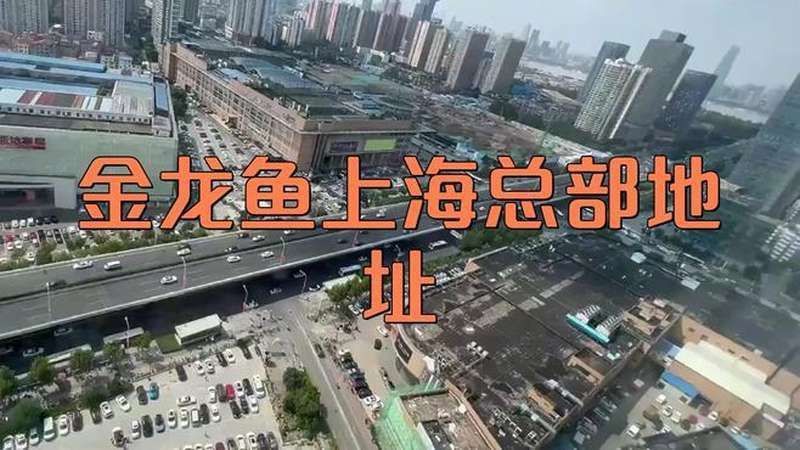 金龍魚總部投訴中心