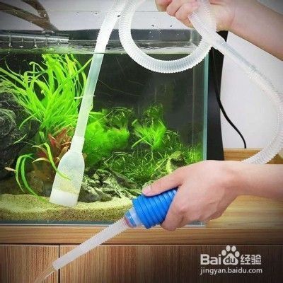魚缸水很多氣泡，如何判斷魚缸水質(zhì)好壞