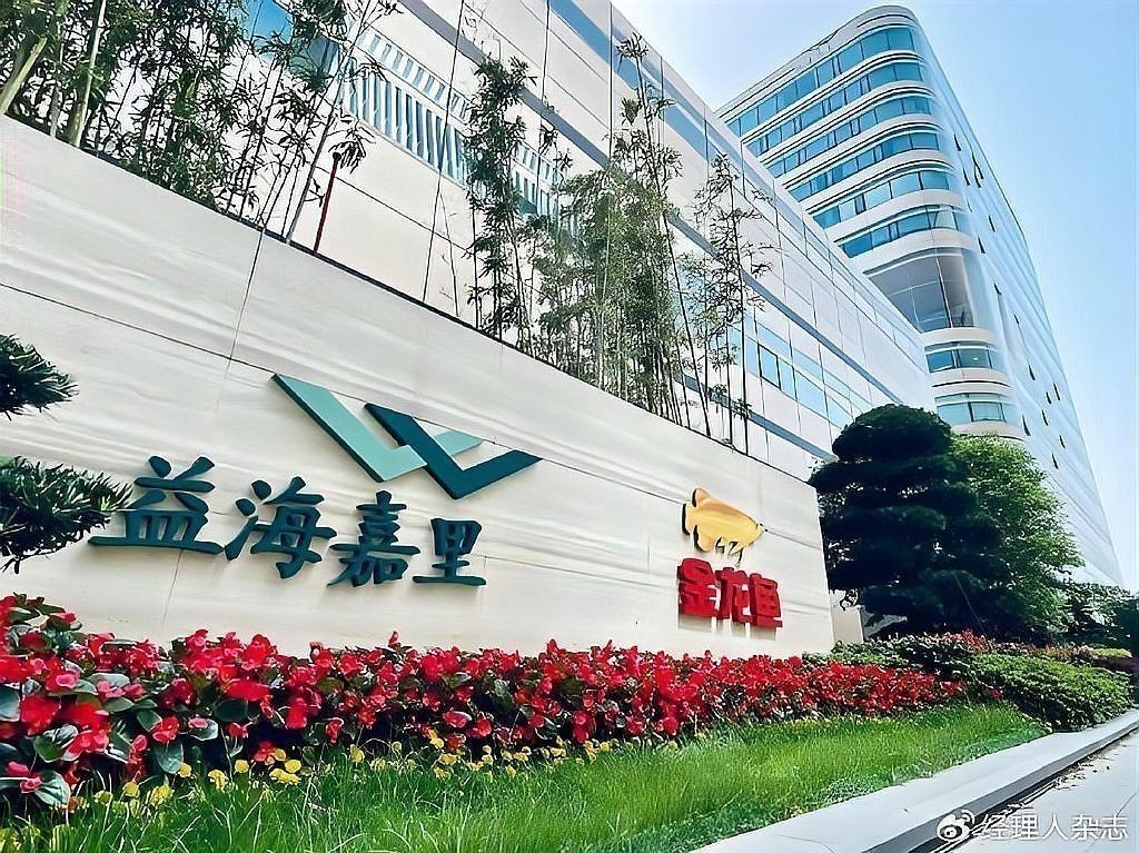 金龍魚在廣西的市場占有率是多少？