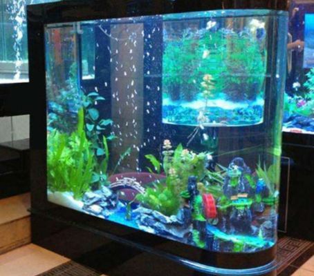 龍魚缸水流方向：龍魚缸水流方向對魚類的生活環境和健康有重要影響 龍魚缸水流方向：龍魚缸水流方向對魚類的生活環境和健康有重要影響 龍魚百科 第3張