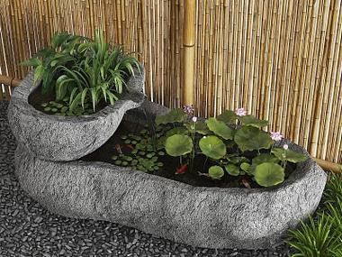 野生龍魚王圖片
