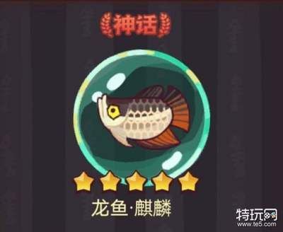 咸魚之王龍魚能釣到嗎（《咸魚之王》龍魚青龍可以通過釣魚活動捕捉各種魚靈）