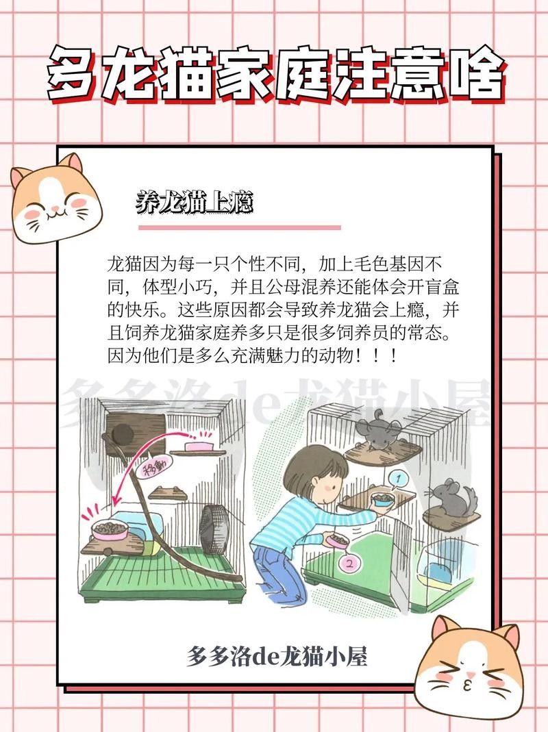 龍貓不認新主人怎么辦？ 龍貓不認新主人怎么辦？ 龍魚百科 第5張