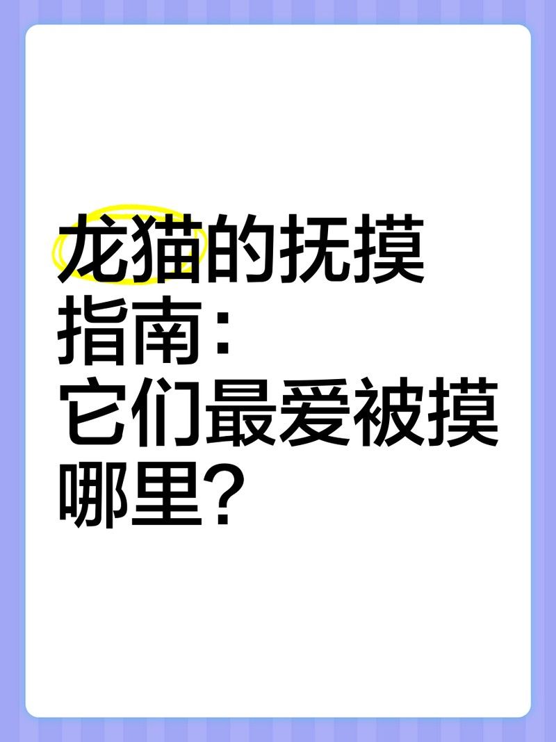 龍貓不認新主人怎么辦？ 龍貓不認新主人怎么辦？ 龍魚百科 第9張