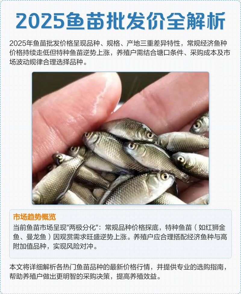 龍魚魚苗多少錢一顆