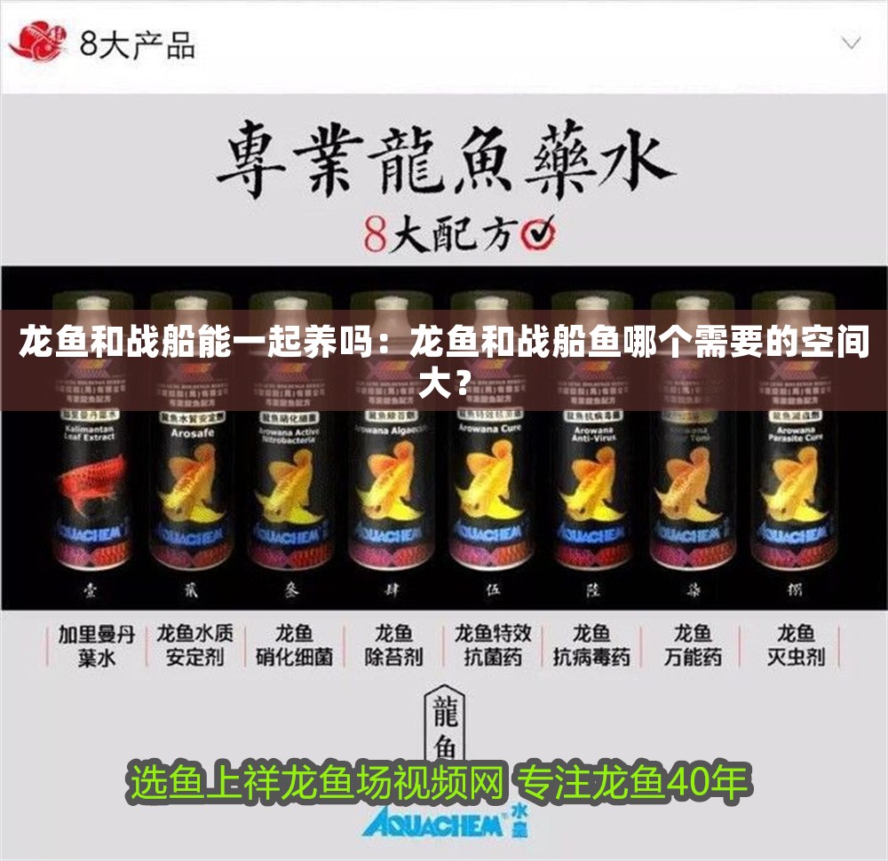 龍魚和戰船能一起養嗎：龍魚和戰船魚哪個需要的空間大？