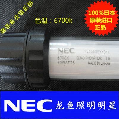 龍魚6700k燈每天開多久【光照時長對龍魚的影響】